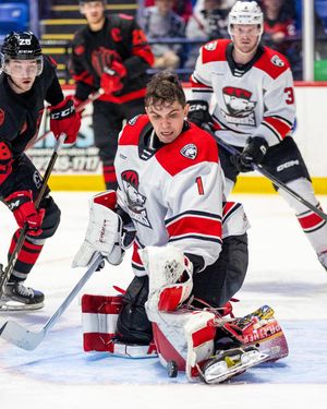 Image post by @minorleaguemadness on Instagram