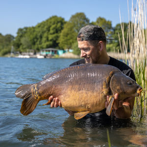 Image post by @brothercarp on Instagram