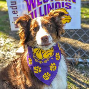 Image post by @westerniluniv on Instagram