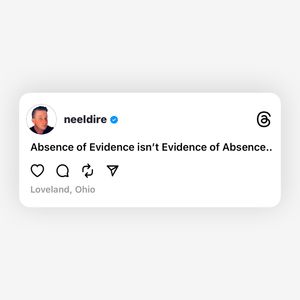 Image post by @neeldire on Instagram