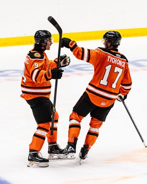Image post by @fwkomets on Instagram