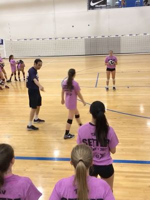 Image post by @tavvolleyball on Instagram
