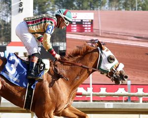 Image post by @thebloodhorse on Instagram
