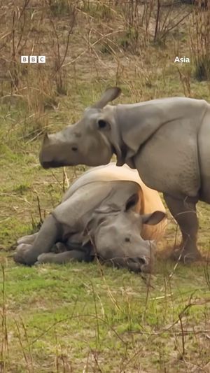 Video post by @bbcearth on Instagram