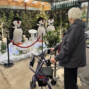 Image post by @the.bespokelife on Instagram