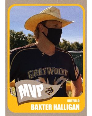 Image post by @picklesbaseball on Instagram
