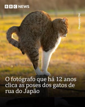 Image post by @bbcbrasil on Instagram