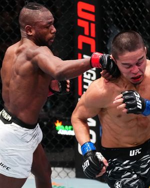 Image post by @ufceurope on Instagram
