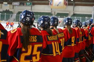Image post by @queensgaels on Twitter
