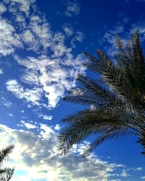 Image post by @faragelo22 on Instagram