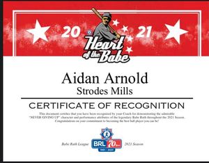 Image post by @BabeRuthLeagueInc on Facebook