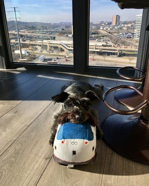 Image post by @amtrak on Instagram