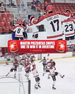 Image post by @nahlhockey on Instagram