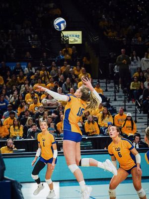 Image post by @camryngreenwald on Instagram