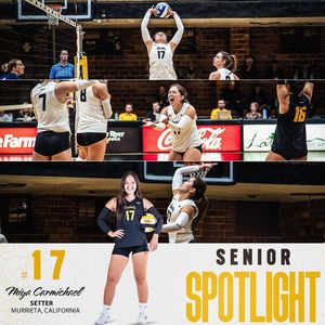 Image post by @vandalvolleyball on Instagram