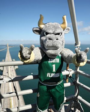 Image post by @usfathletics on Instagram