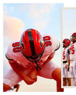 Image post by @vision.of.ant on Instagram