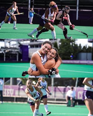 Image post by @nufhcats on Instagram