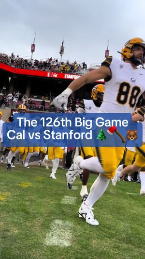 Video post by @ucberkeley on TikTok