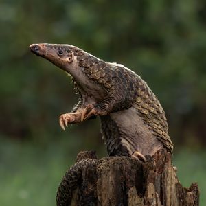 Image post by @discovery on Instagram