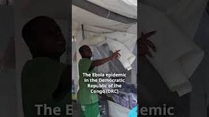 Video post by @who on YouTube