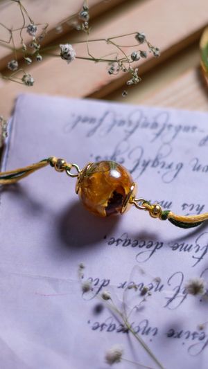 Video post by @leafyaffair on Instagram
