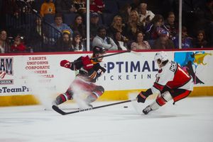 Image post by @adwcreative on Instagram