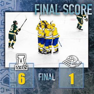 Image post by @nanookshockey on Instagram