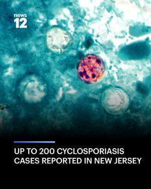 Image post by @news12nj on Instagram