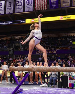 Image post by @uwgymnastics on Instagram