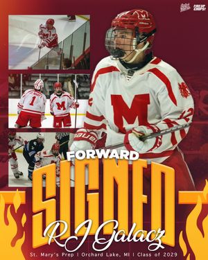 Image post by @cmuhockeyd3 on Instagram