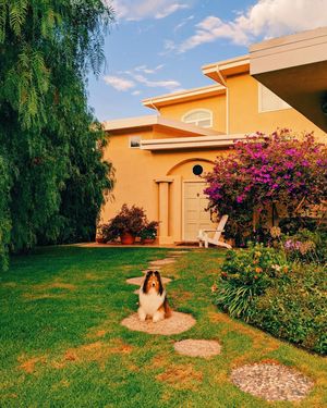 Image post by @vsco on Instagram
