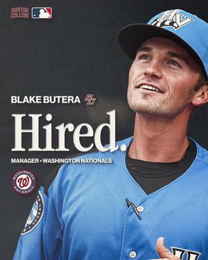 Image post by @BCBirdBall on Twitter