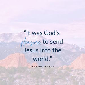 Image post by @fountoflifeco on Instagram