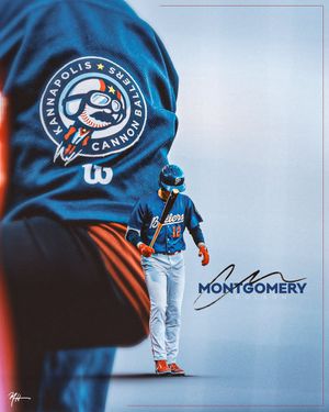 Image post by @harrisonmvh on Twitter