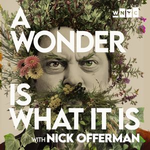 Image post by @nickofferman on Instagram