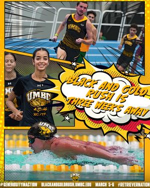 Image post by @umbcathletics on Instagram