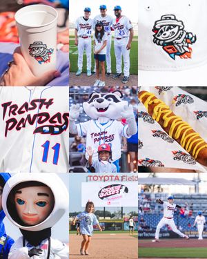 Image post by @trashpandasbaseball on Instagram