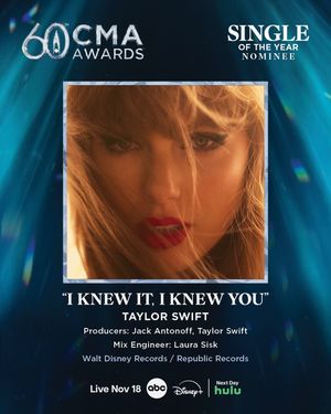Image post by @taylornation on Instagram