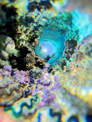 Image post by @shotbyoh on Instagram