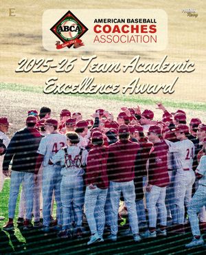 Image post by @elonbaseball on Instagram