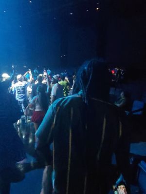 Image post by @westsidegunn on Instagram