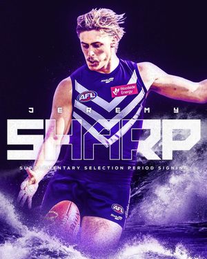 Image post by @freodockers on Instagram