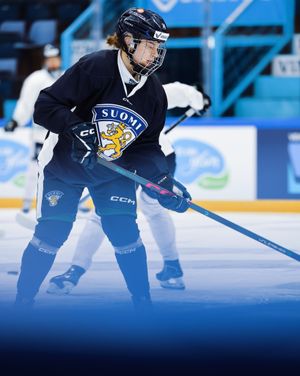 Image post by @leijonatfi on Instagram