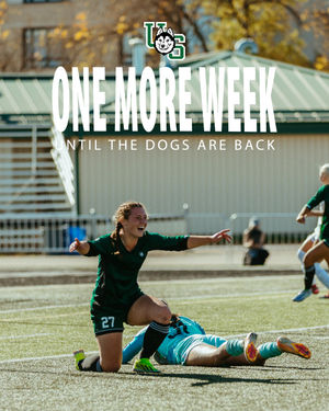 Image post by @huskieathletics on Instagram