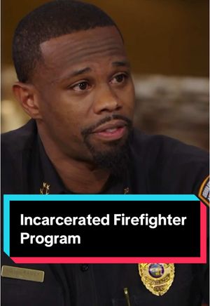 Video post by @thedailyshow on TikTok
