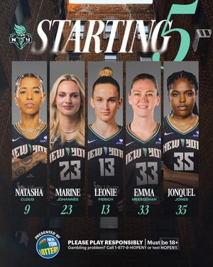 Image post by @nyliberty on Twitter