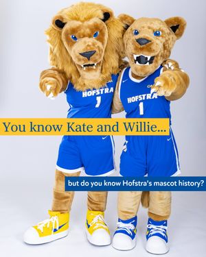 Image post by @hofstrau on Instagram