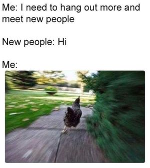 Image post by @introvertsays.in on Instagram