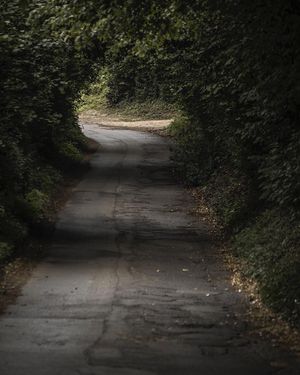 Image post by @kschischang on Instagram